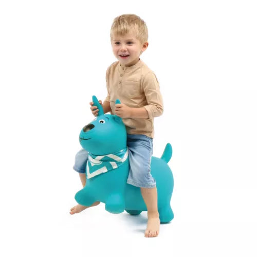 Chien Sauteur 12M+ - LUDI